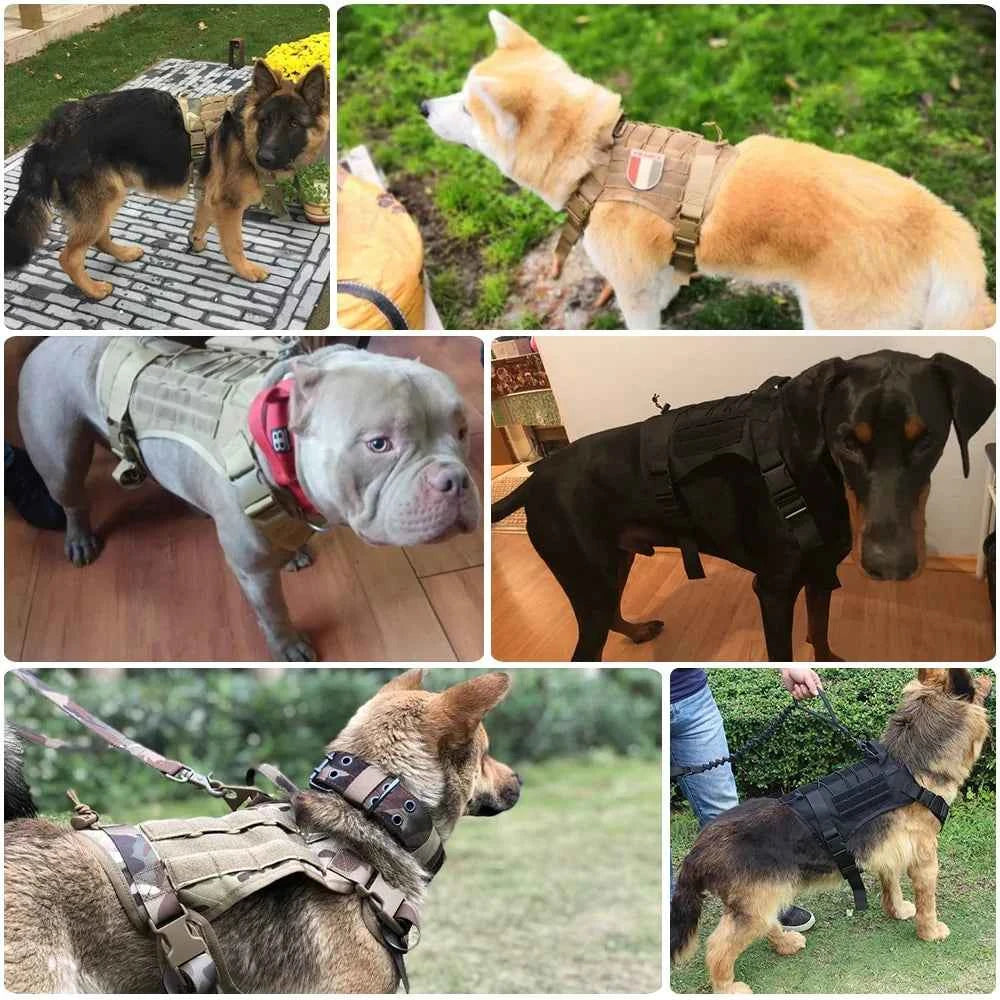 Nylon Tactical Dog Harness with Handle & Bungee Leash for Large Dogs - Fullshopping