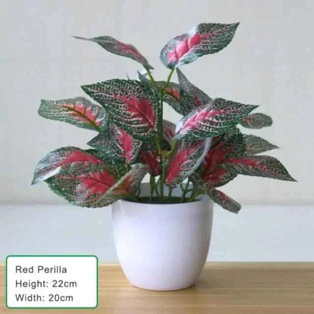 Artificial Succulent Plant - Fullshopping
