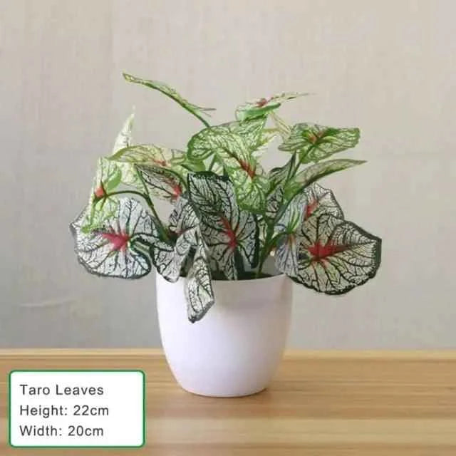 Artificial Succulent Plant - Fullshopping