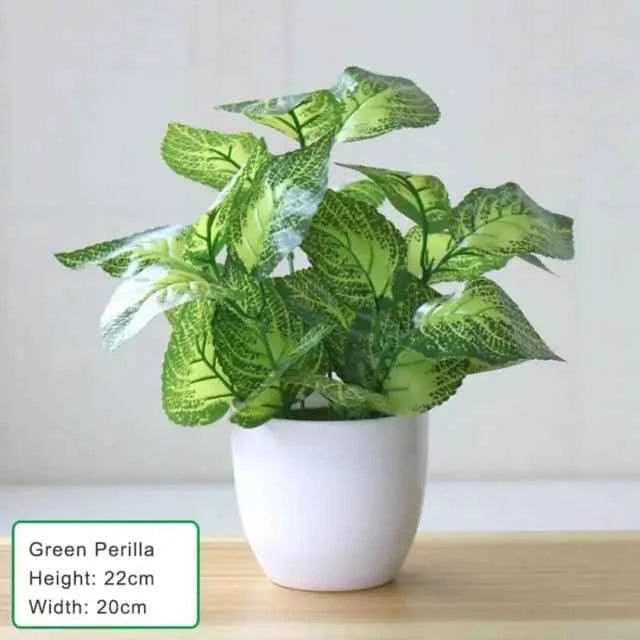 Artificial Succulent Plant - Fullshopping