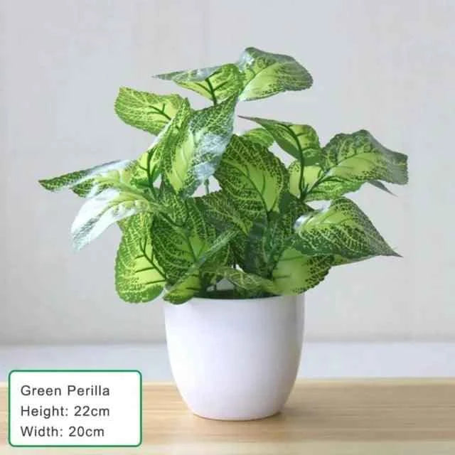 Artificial Succulent Plant - Fullshopping