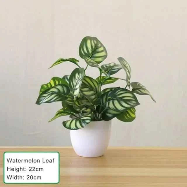 Artificial Succulent Plant - Fullshopping