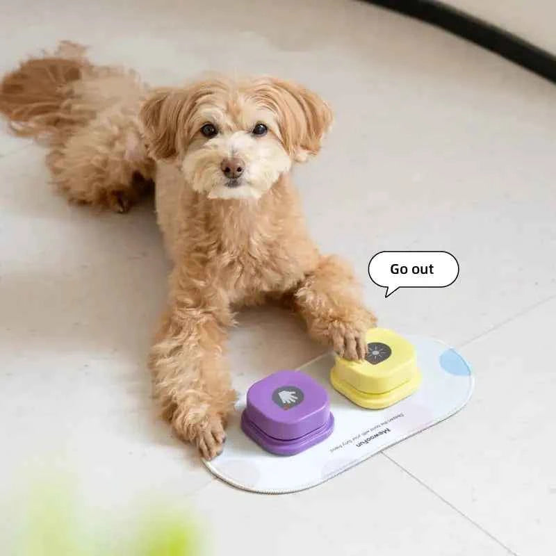 Training Buzzer Recordable Talking Button - Fullshopping