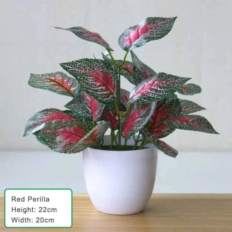 Artificial Succulent Plant - Fullshopping
