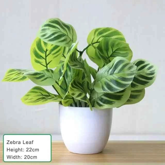 Artificial Succulent Plant - Fullshopping