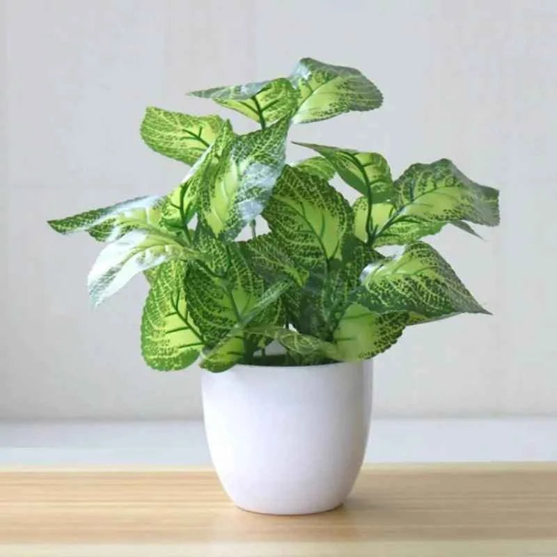 Artificial Succulent Plant - Fullshopping