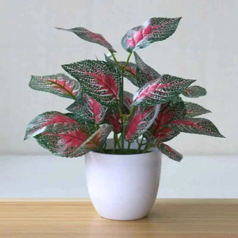 Artificial Succulent Plant - Fullshopping